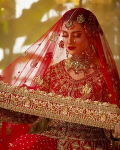 Indian bride wearing a modern embroidered bridal veil